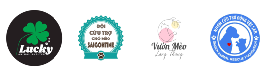 Thong-Diep