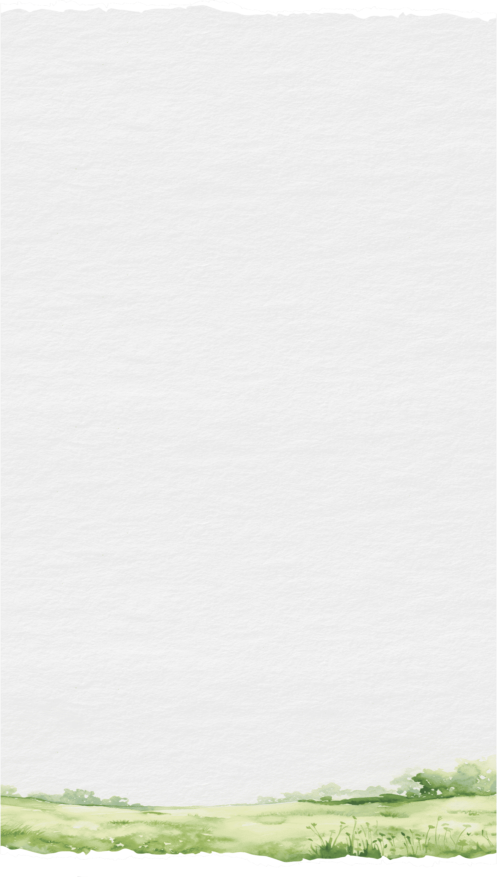 Tear Paper